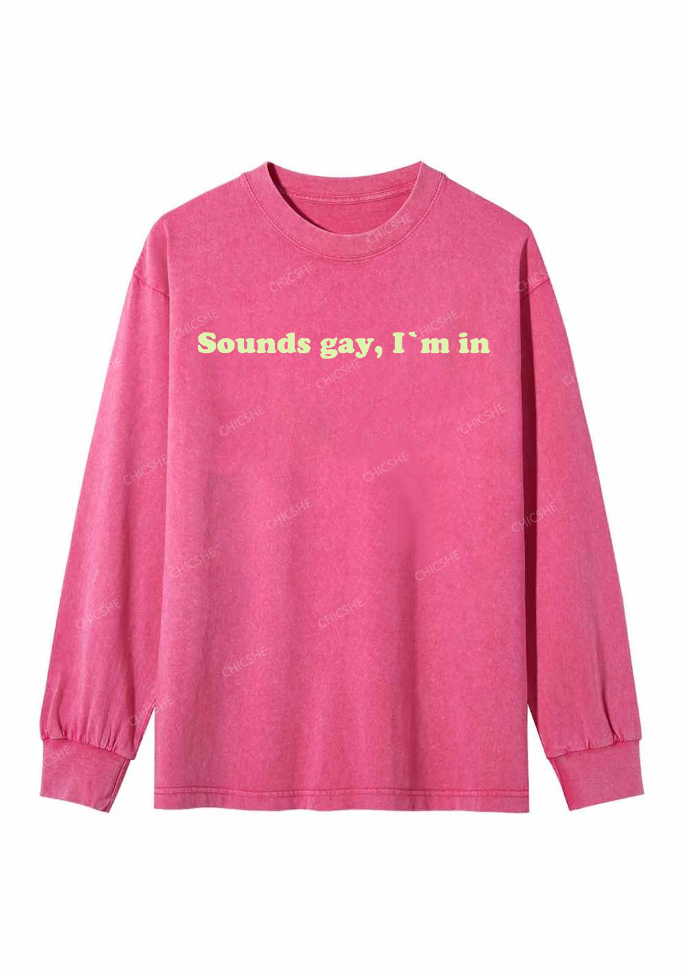 Sounds Gay Y2K Washed Long Sleeves Chicshe