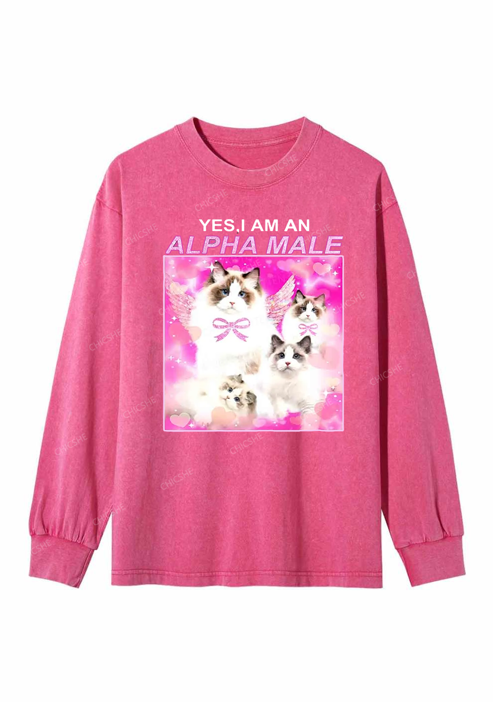 Alpha Male Y2K Washed Long Sleeves Chicshe