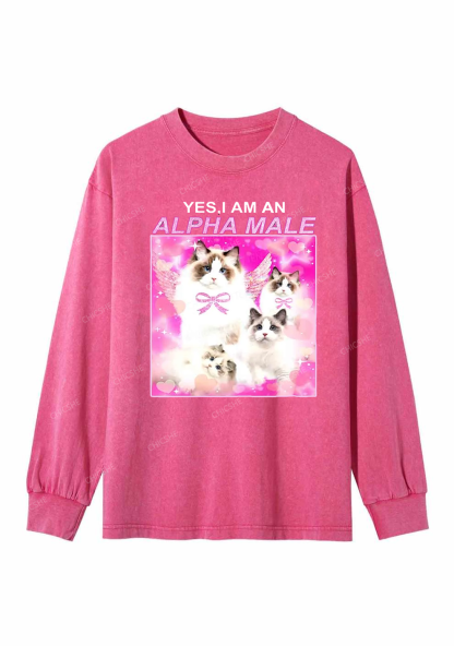 Alpha Male Y2K Washed Long Sleeves Chicshe