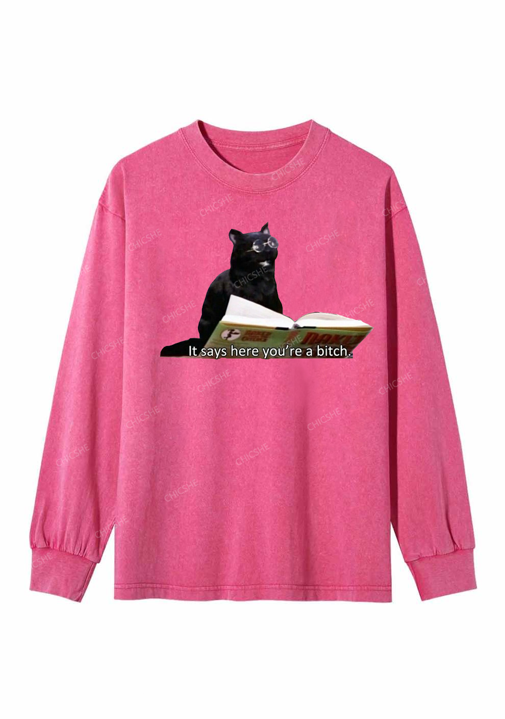 It Says Here You're A Bixxh Y2K Washed Long Sleeves Chicshe
