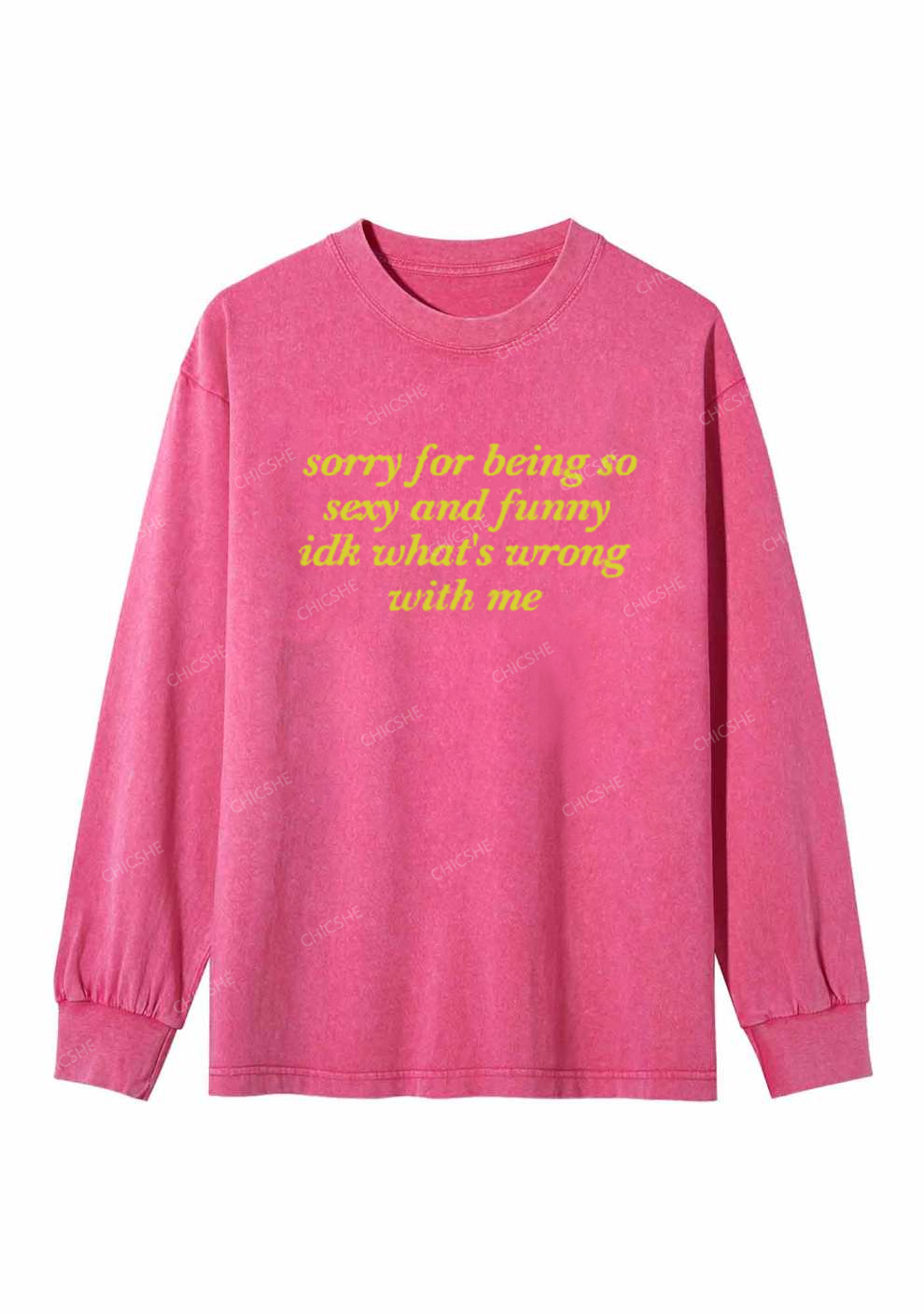 Sorry For Being So Funny Y2K Washed Long Sleeves Chicshe