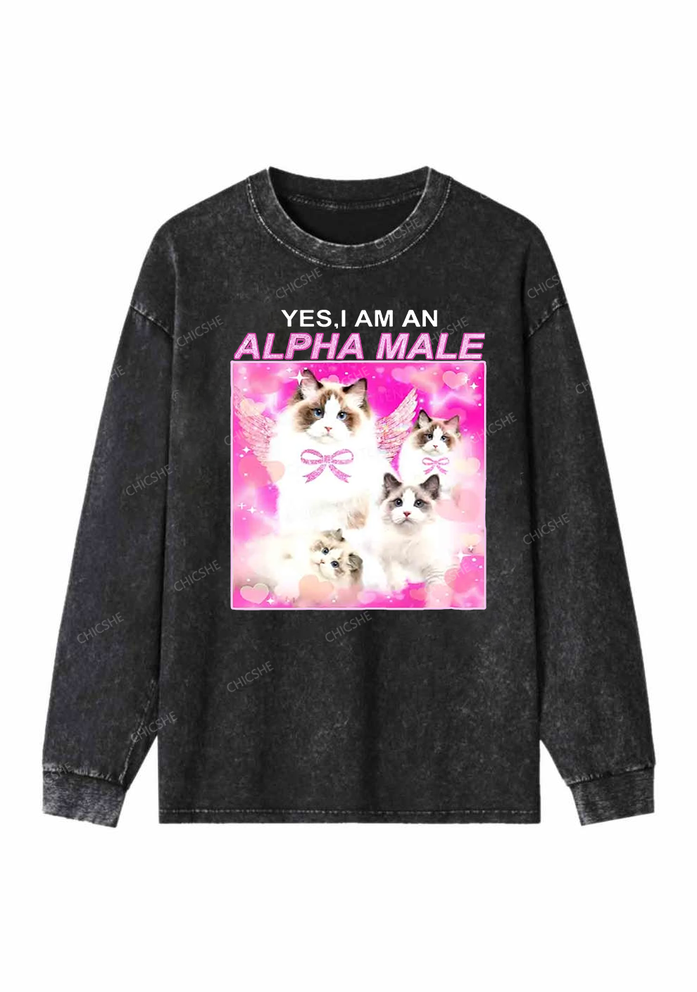 Alpha Male Y2K Washed Long Sleeves Chicshe