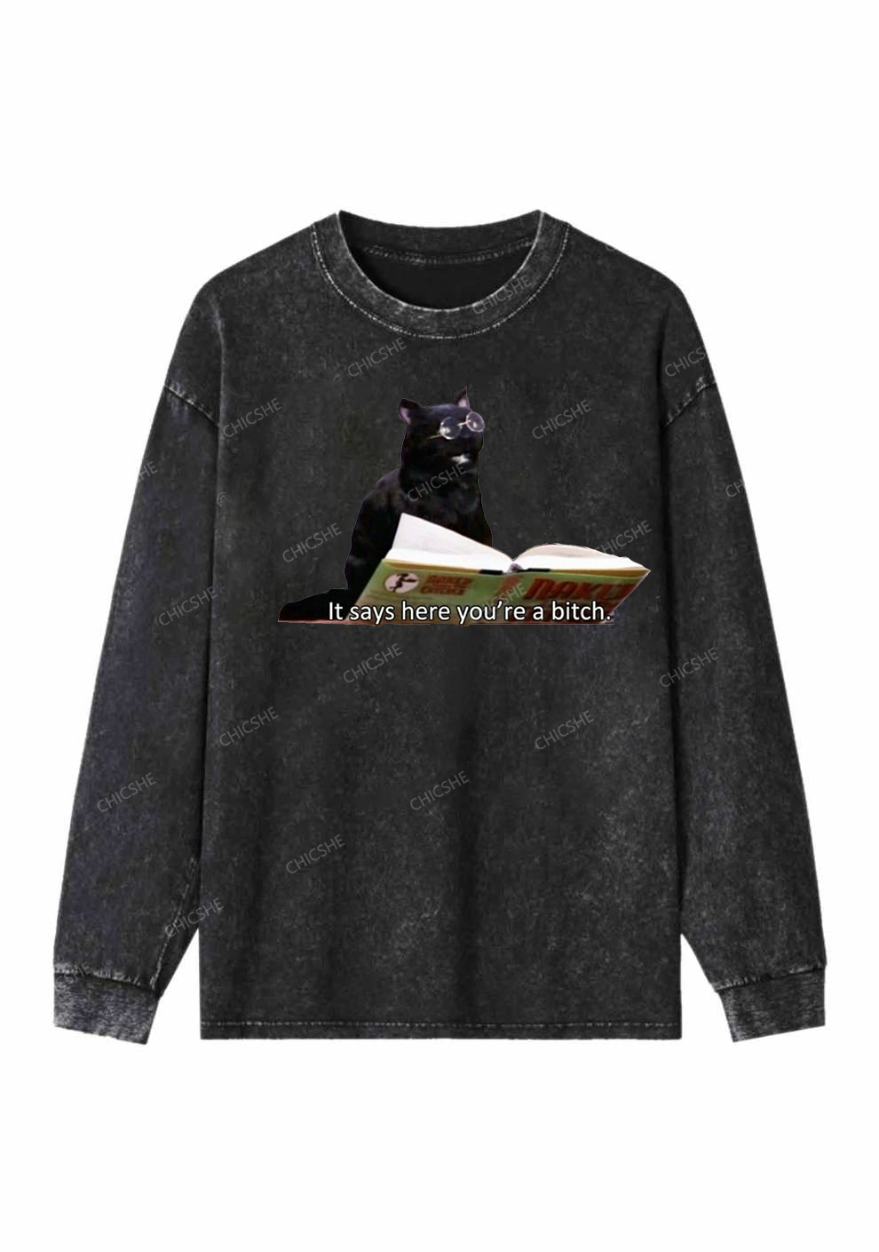 It Says Here You're A Bixxh Y2K Washed Long Sleeves Chicshe