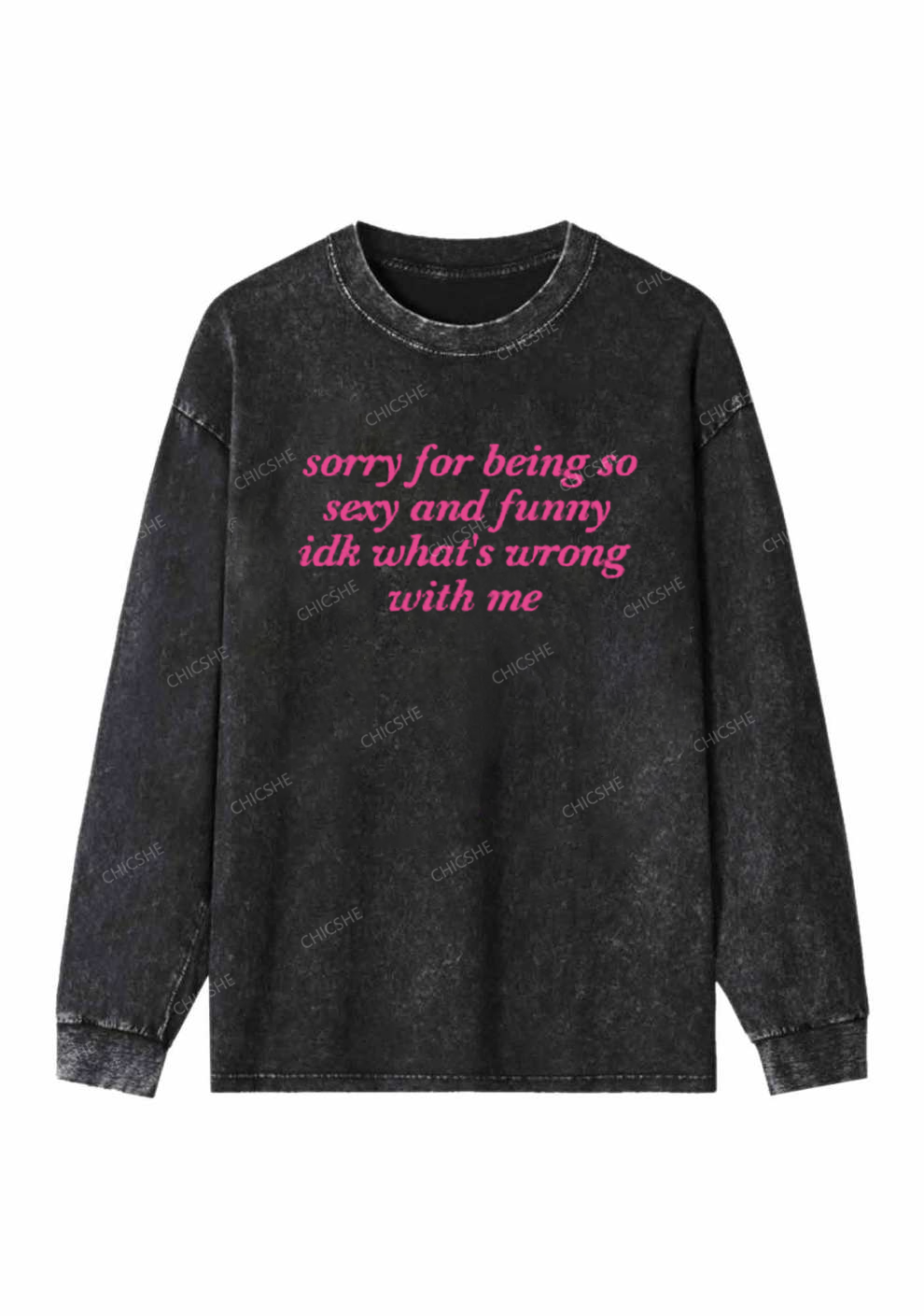 Sorry For Being So Funny Y2K Washed Long Sleeves Chicshe