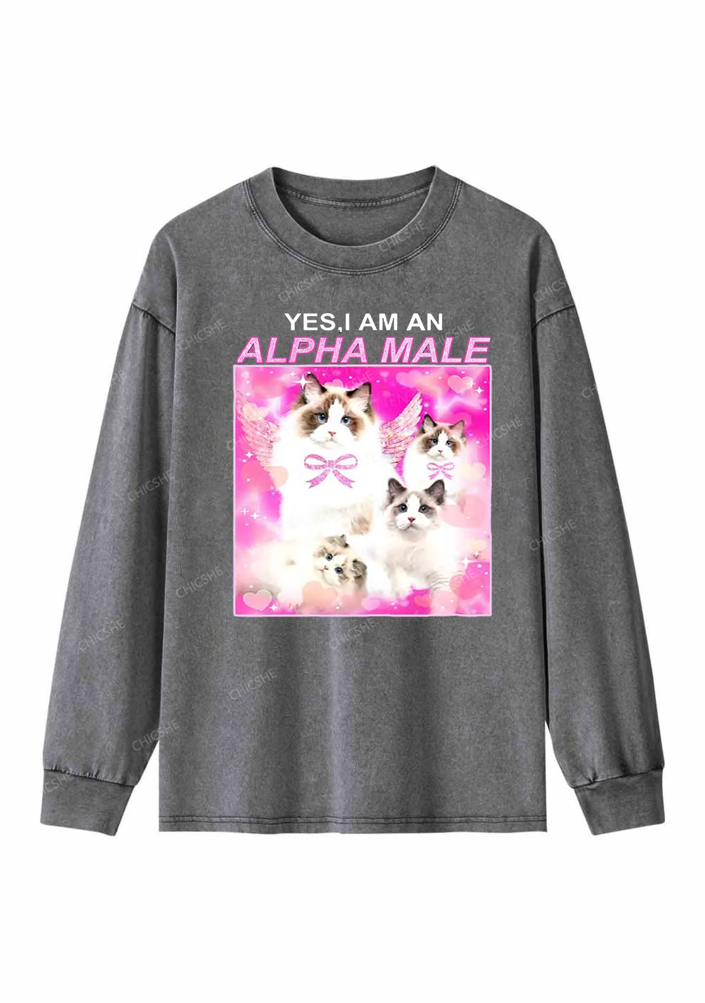 Alpha Male Y2K Washed Long Sleeves Chicshe