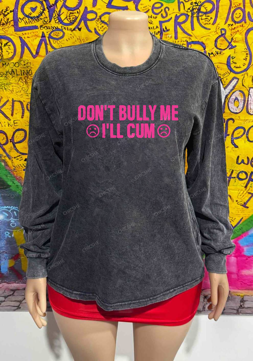 Don't Bully Me Y2K Washed Long Sleeves Chicshe