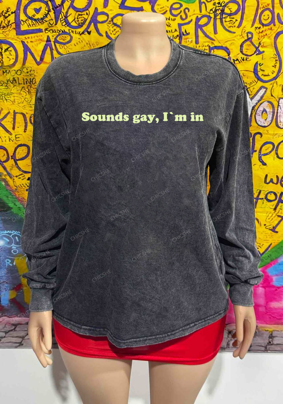 Sounds Gay Y2K Washed Long Sleeves Chicshe