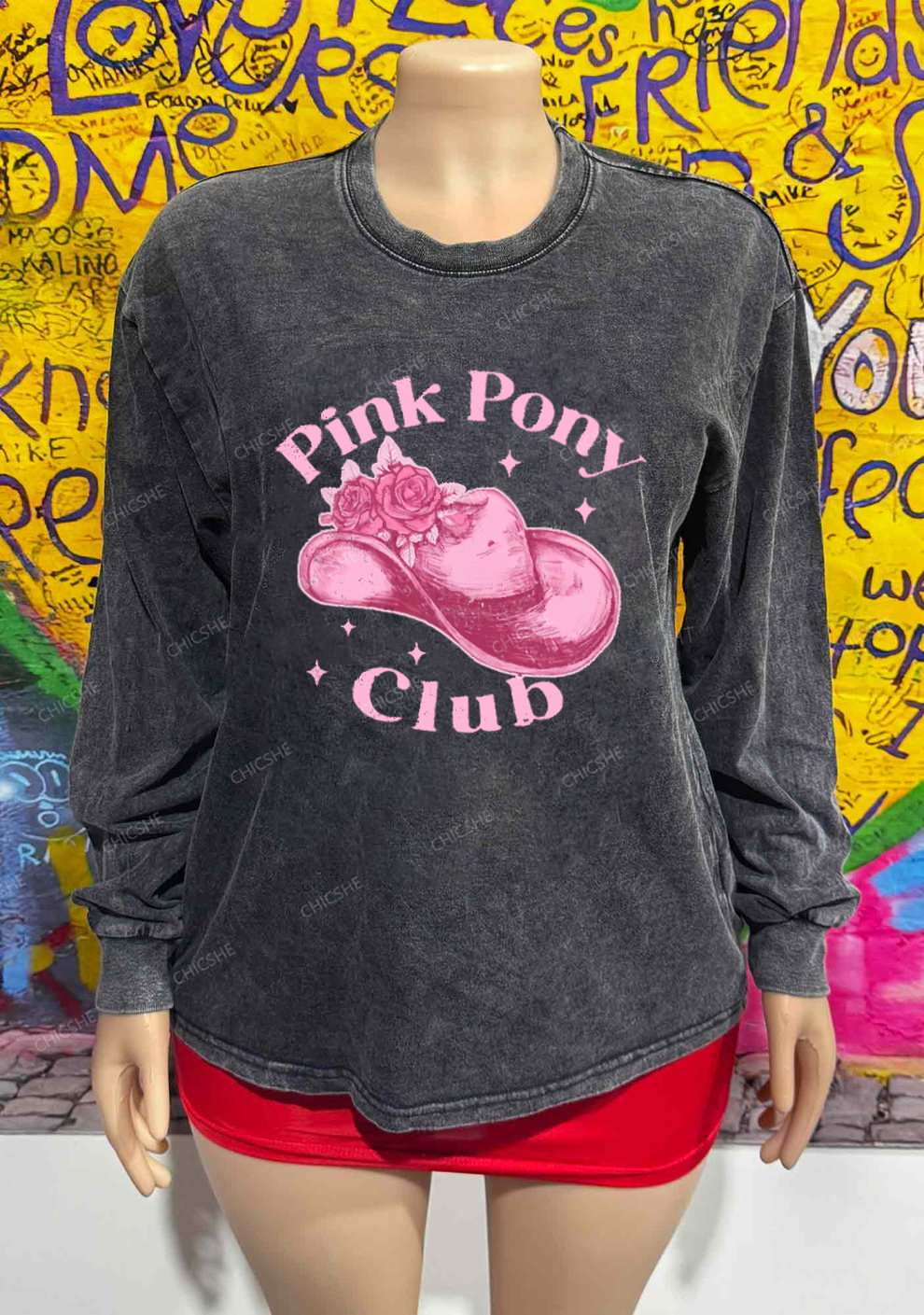 Pink Pony Club Y2K Washed Long Sleeves Chicshe