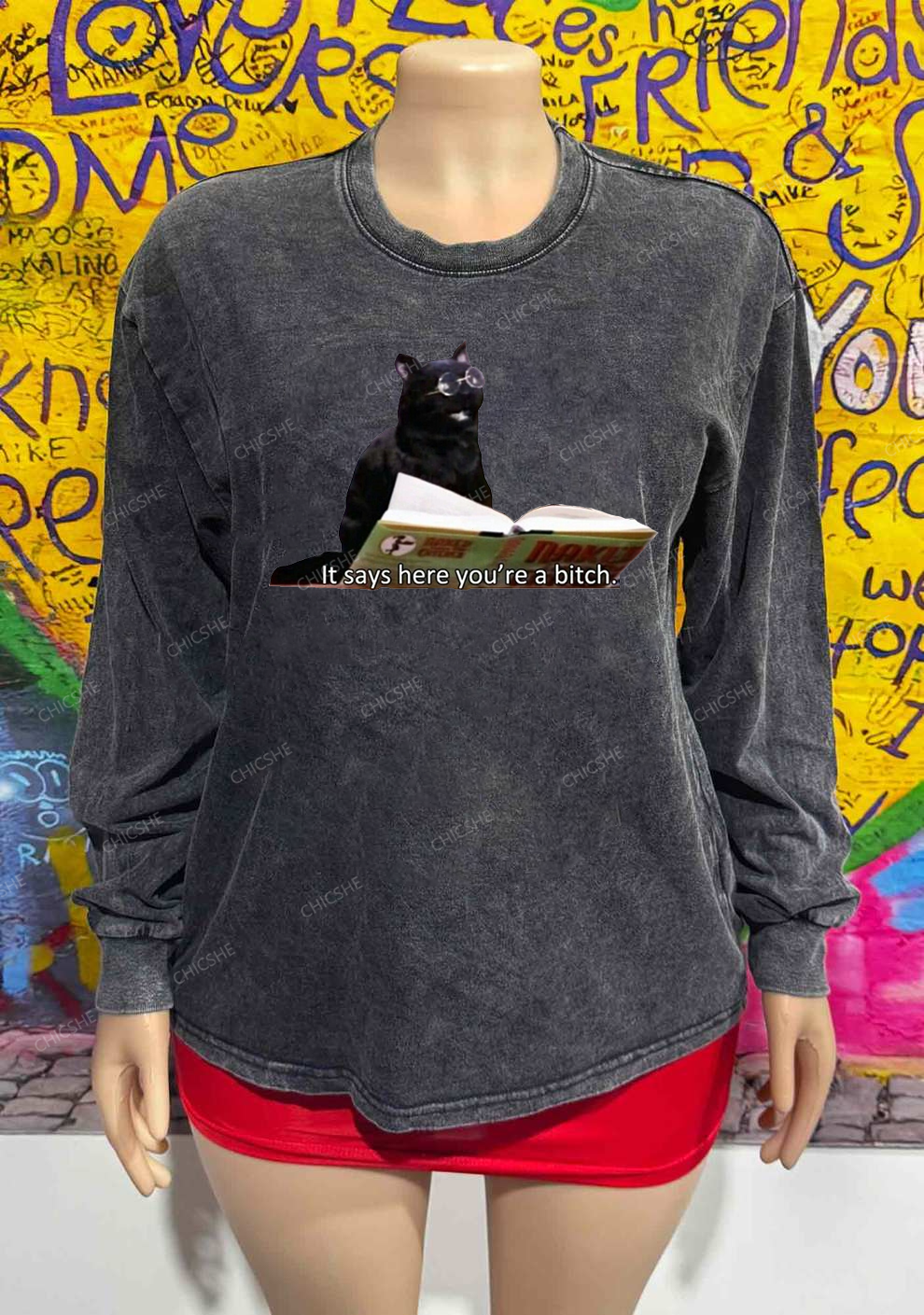 It Says Here You're A Bixxh Y2K Washed Long Sleeves Chicshe