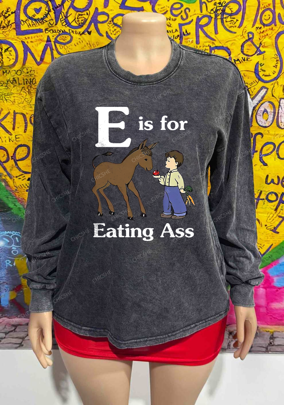 E Is For Eating Axx Y2K Washed Long Sleeves Chicshe