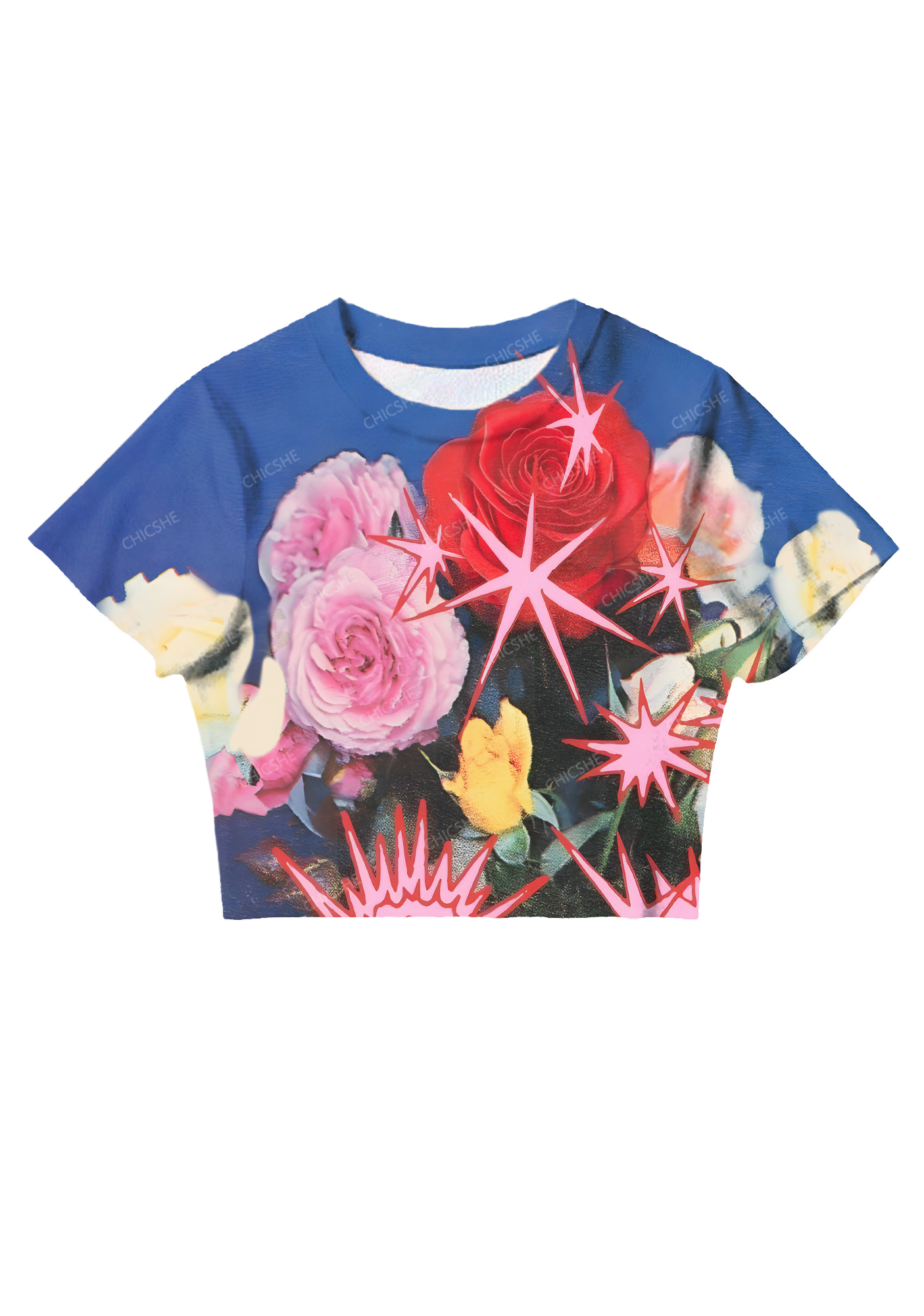 Chicshe Red Roses And Pink Roses Y2K  Mesh Crop Top