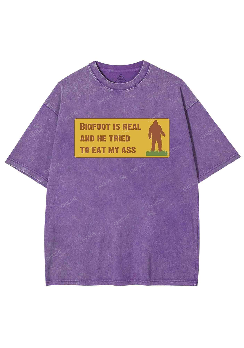 Bigfoot Is Real Y2K Washed Tee Chicshe