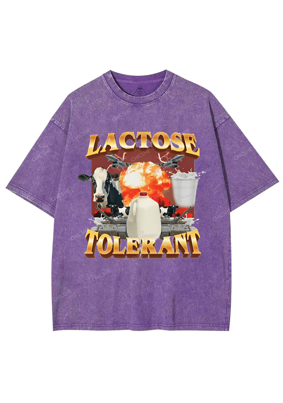 Retro Milk Lactose Tolerant Y2K Washed Tee Chicshe