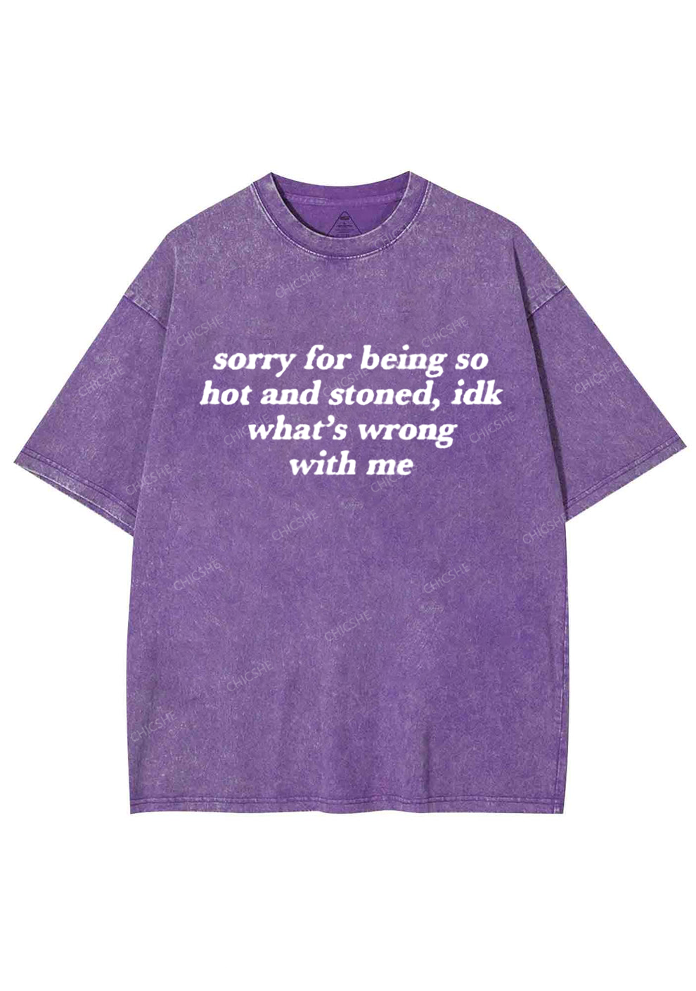 Sorry For Being Hot And Stoned Y2K Washed Tee Chicshe