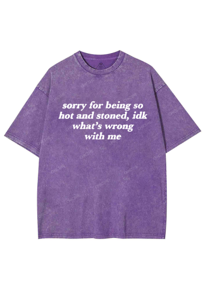 Sorry For Being Hot And Stoned Y2K Washed Tee Chicshe