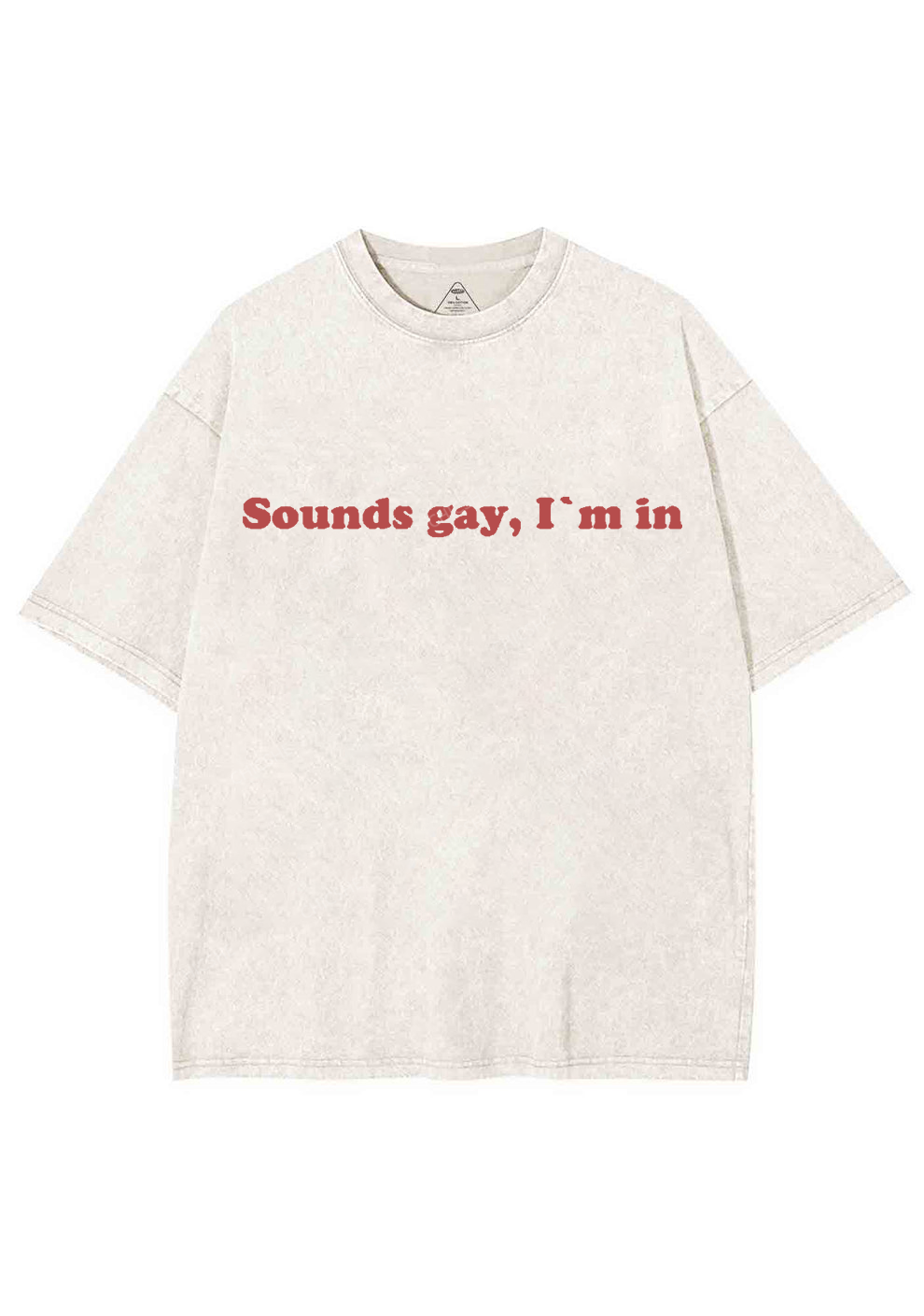 Sounds Gay Y2K Washed Tee Chicshe