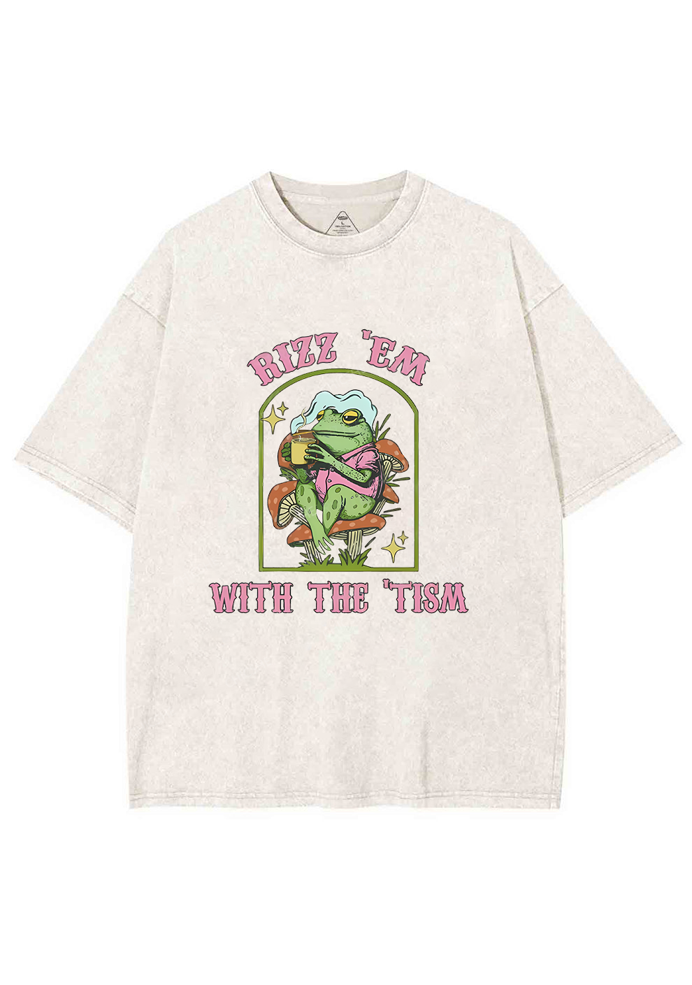 Tism Rizz Frog Y2K Washed Tee Chicshe