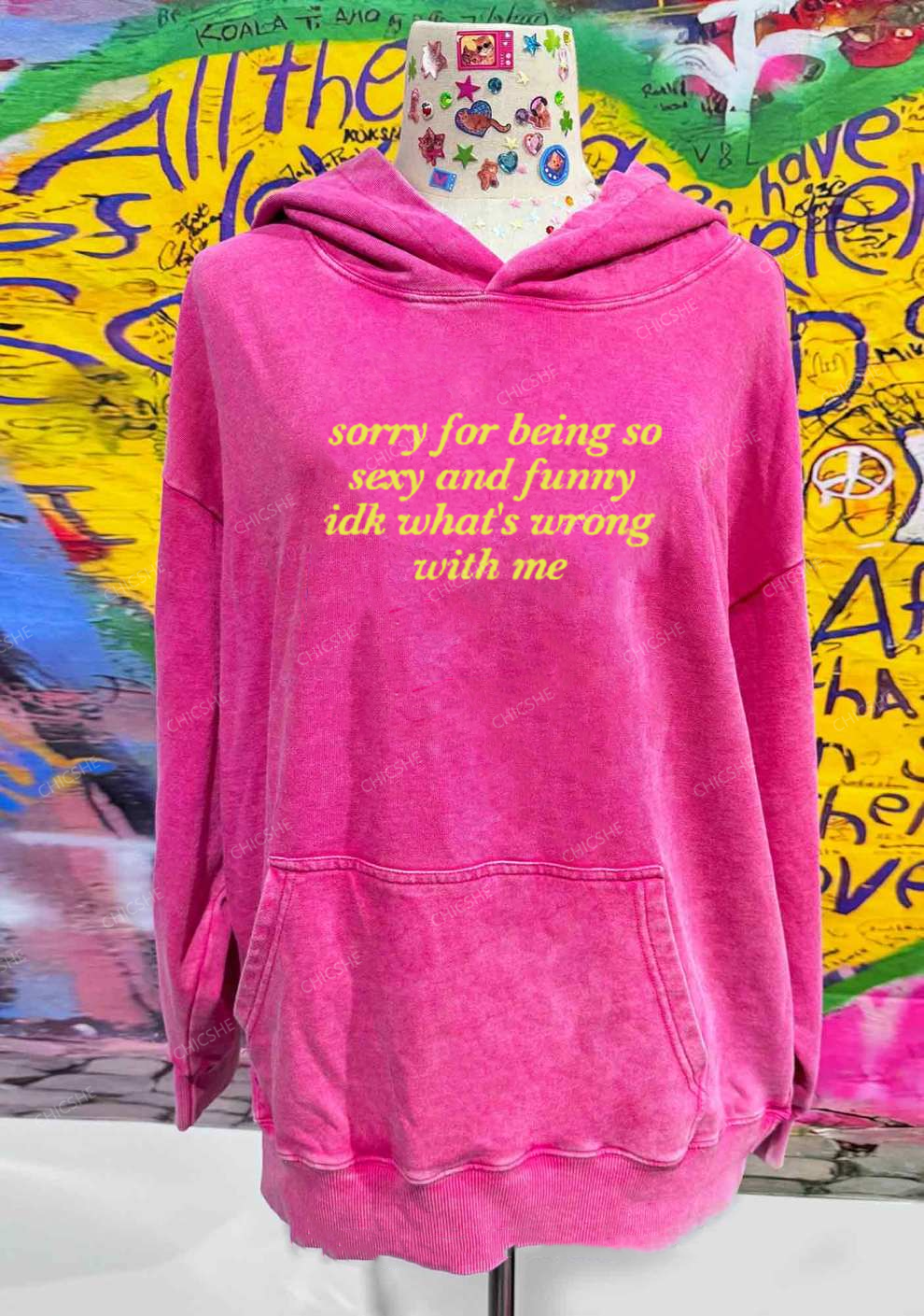 Sorry For Being So Funny Y2K Washed Hoodie Chicshe