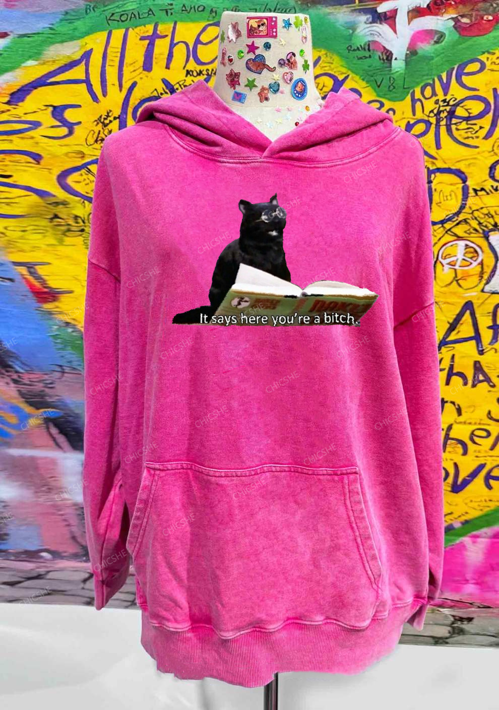 It Says Here You're A Bixxh Y2K Washed Hoodie Chicshe