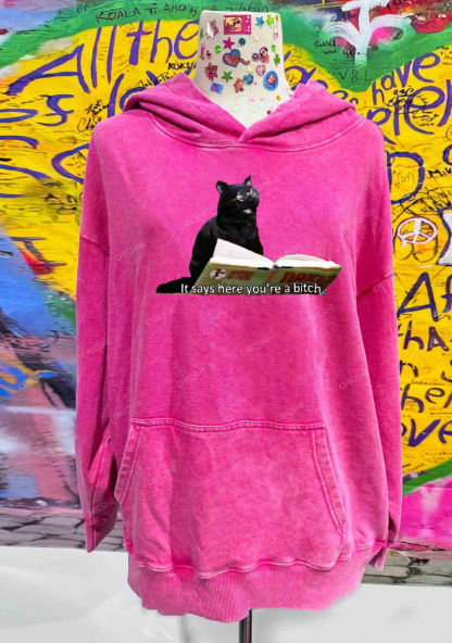 It Says Here You're A Bixxh Y2K Washed Hoodie Chicshe