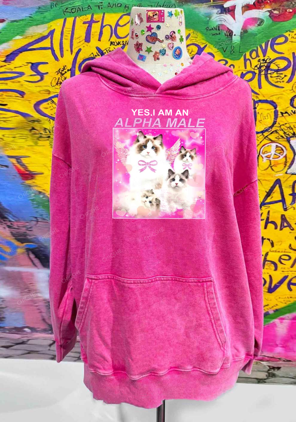 Alpha Male Y2K Washed Hoodie Chicshe