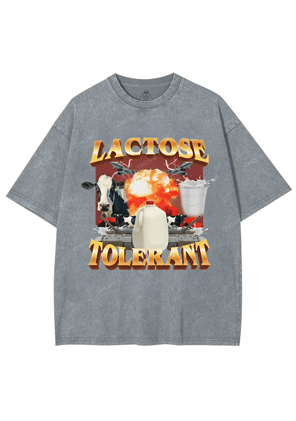 Retro Milk Lactose Tolerant Y2K Washed Tee Chicshe