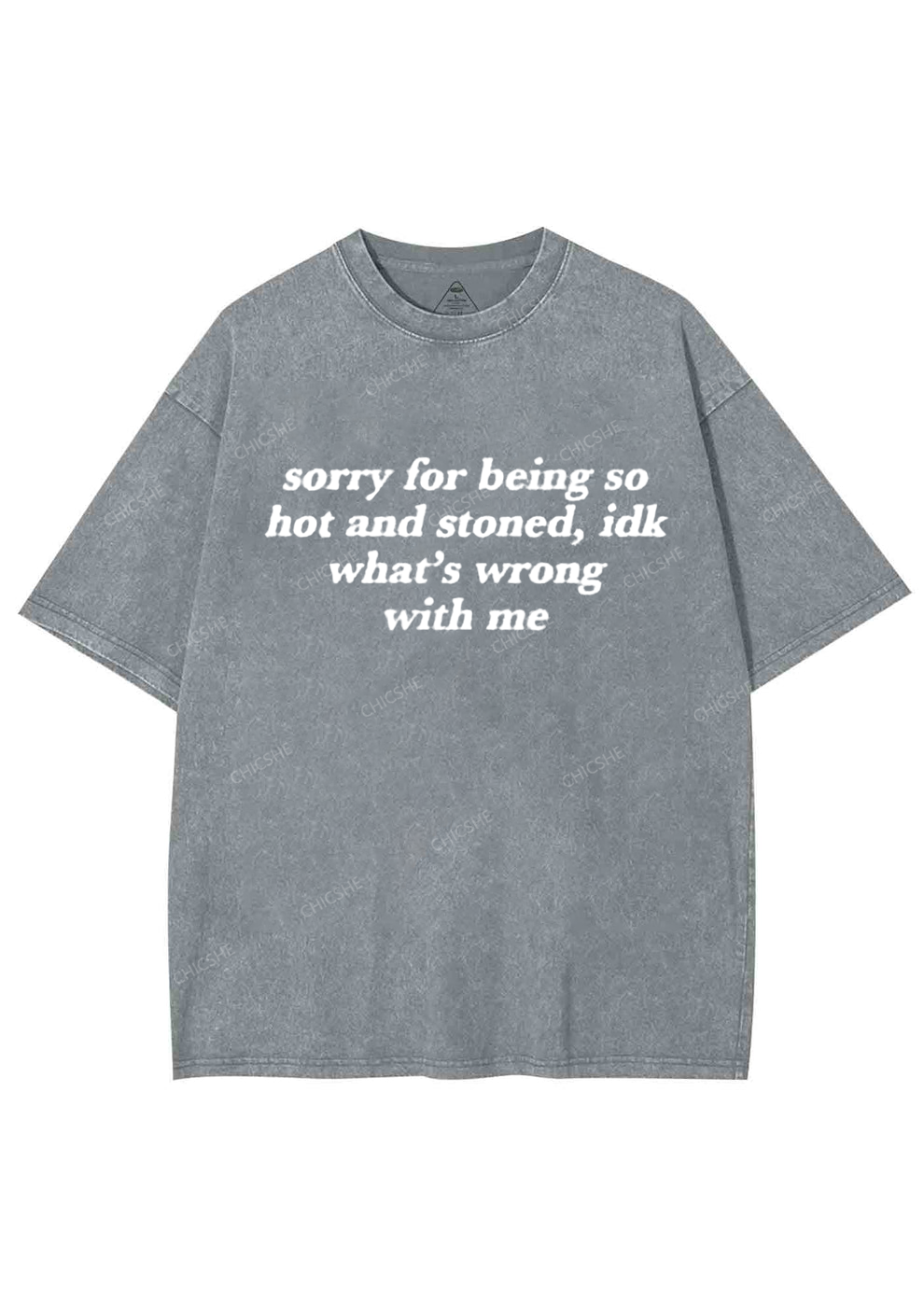 Sorry For Being Hot And Stoned Y2K Washed Tee Chicshe
