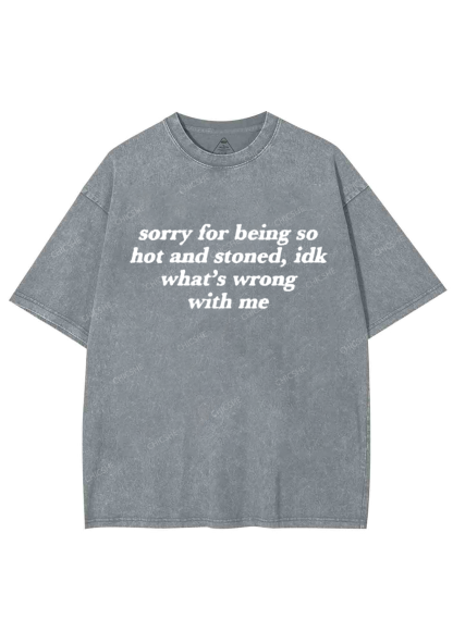 Sorry For Being Hot And Stoned Y2K Washed Tee Chicshe