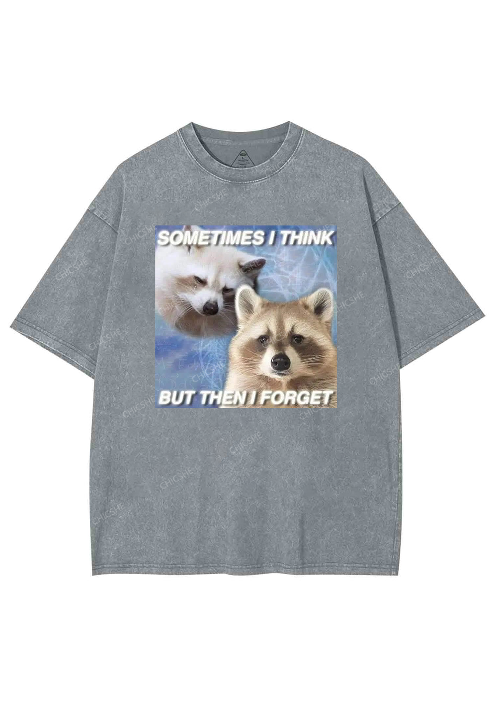 Raccoon Sometimes Think Y2K Washed Tee Chicshe