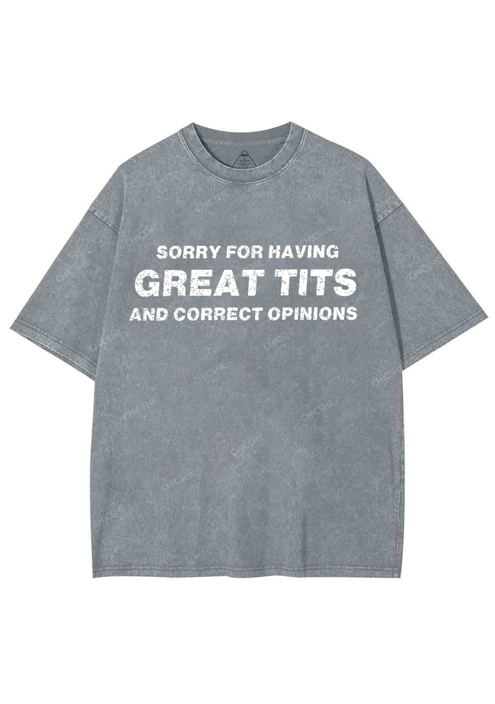 Sorry For Having Correct Opinions Y2K Washed Tee Chicshe