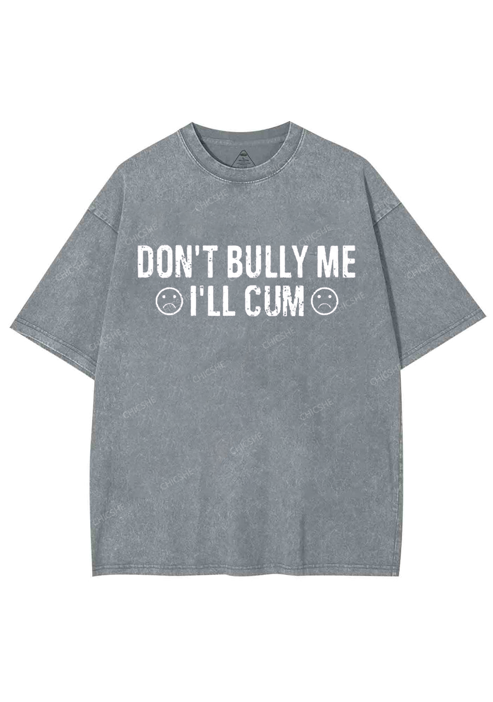 Don't Bully Me Y2K Washed Tee Chicshe
