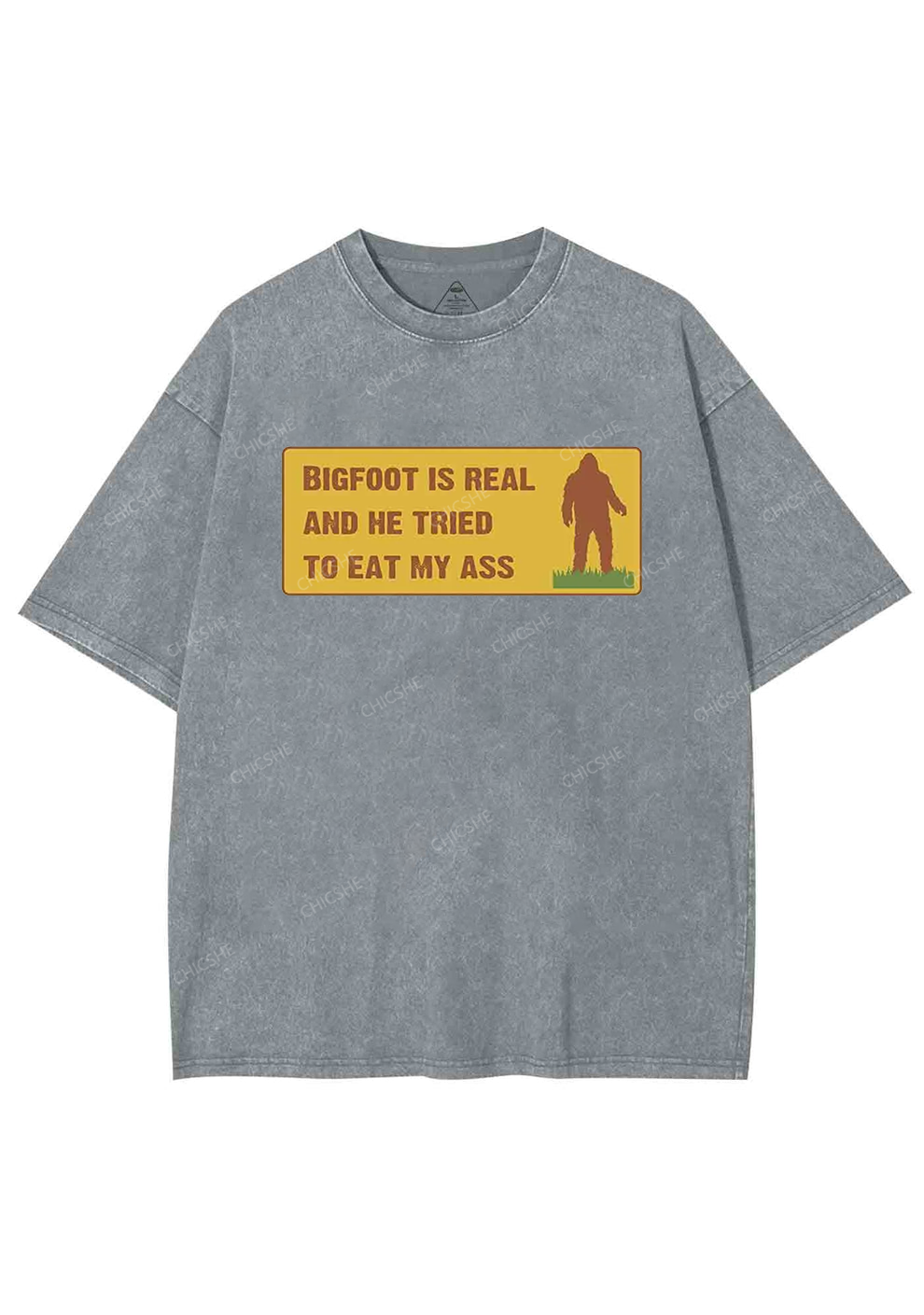 Bigfoot Is Real Y2K Washed Tee Chicshe