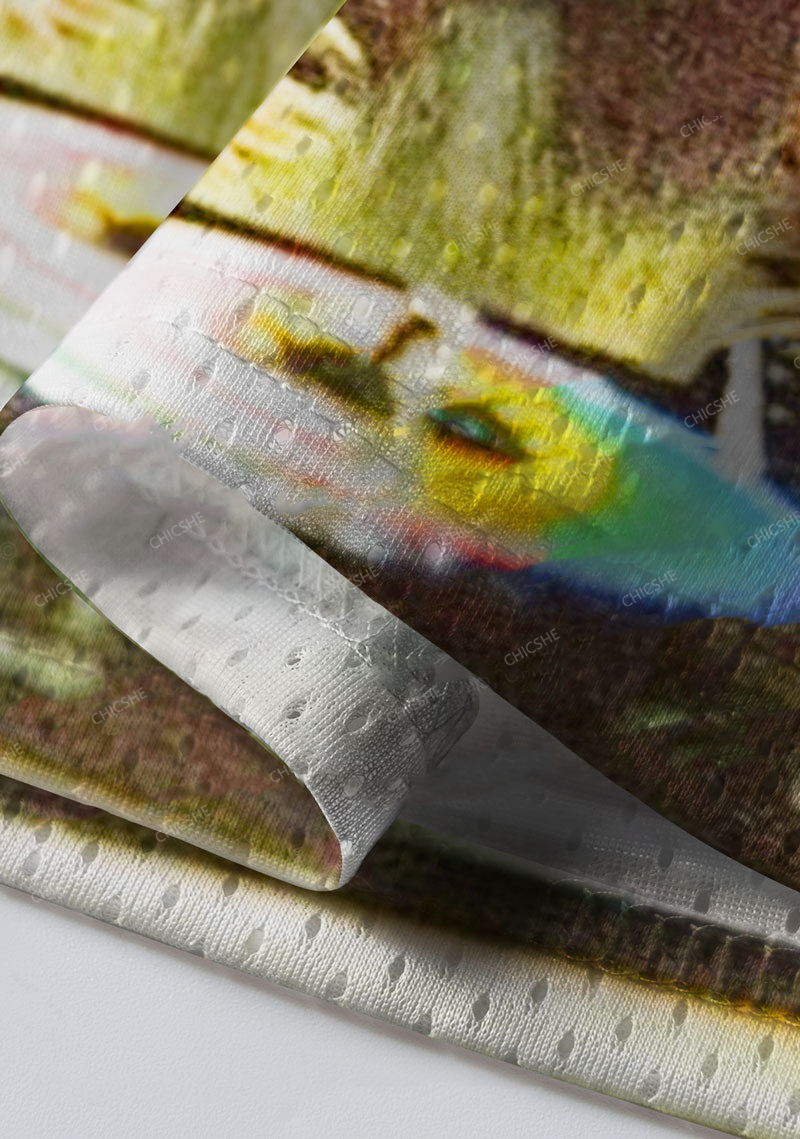 Custom DJ Rat Duck Y2K Sport Jersey Shirts Chicshe