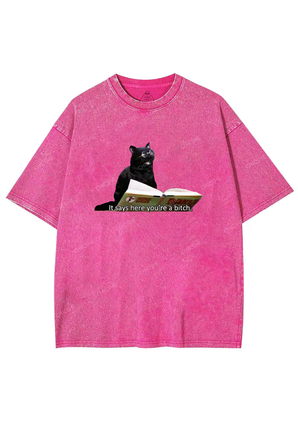 It Says Here You're A Bixxh Y2K Washed Tee Chicshe