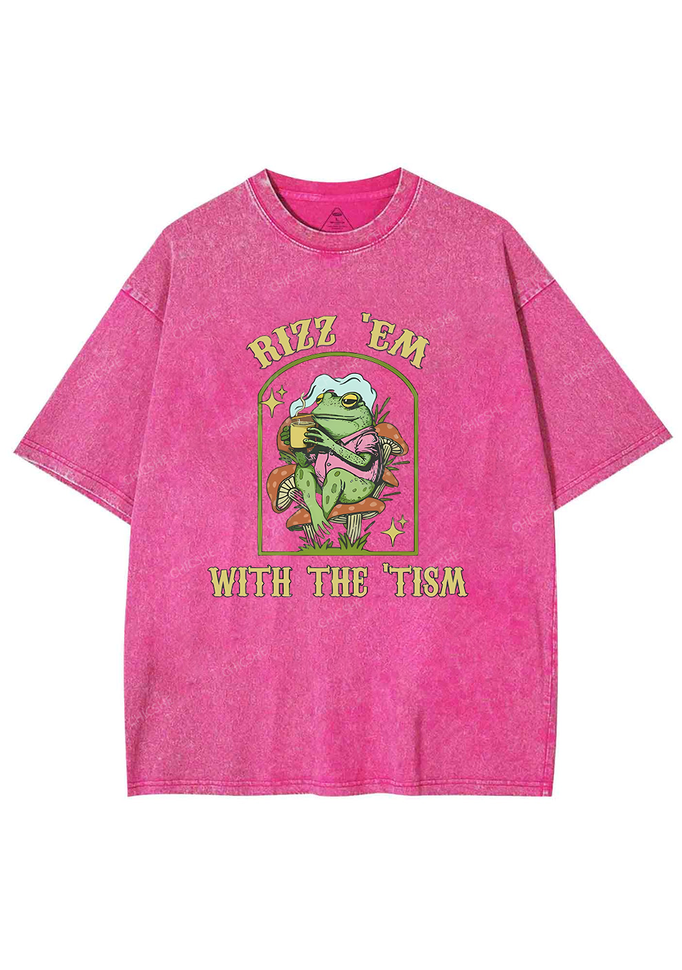 Tism Rizz Frog Y2K Washed Tee Chicshe