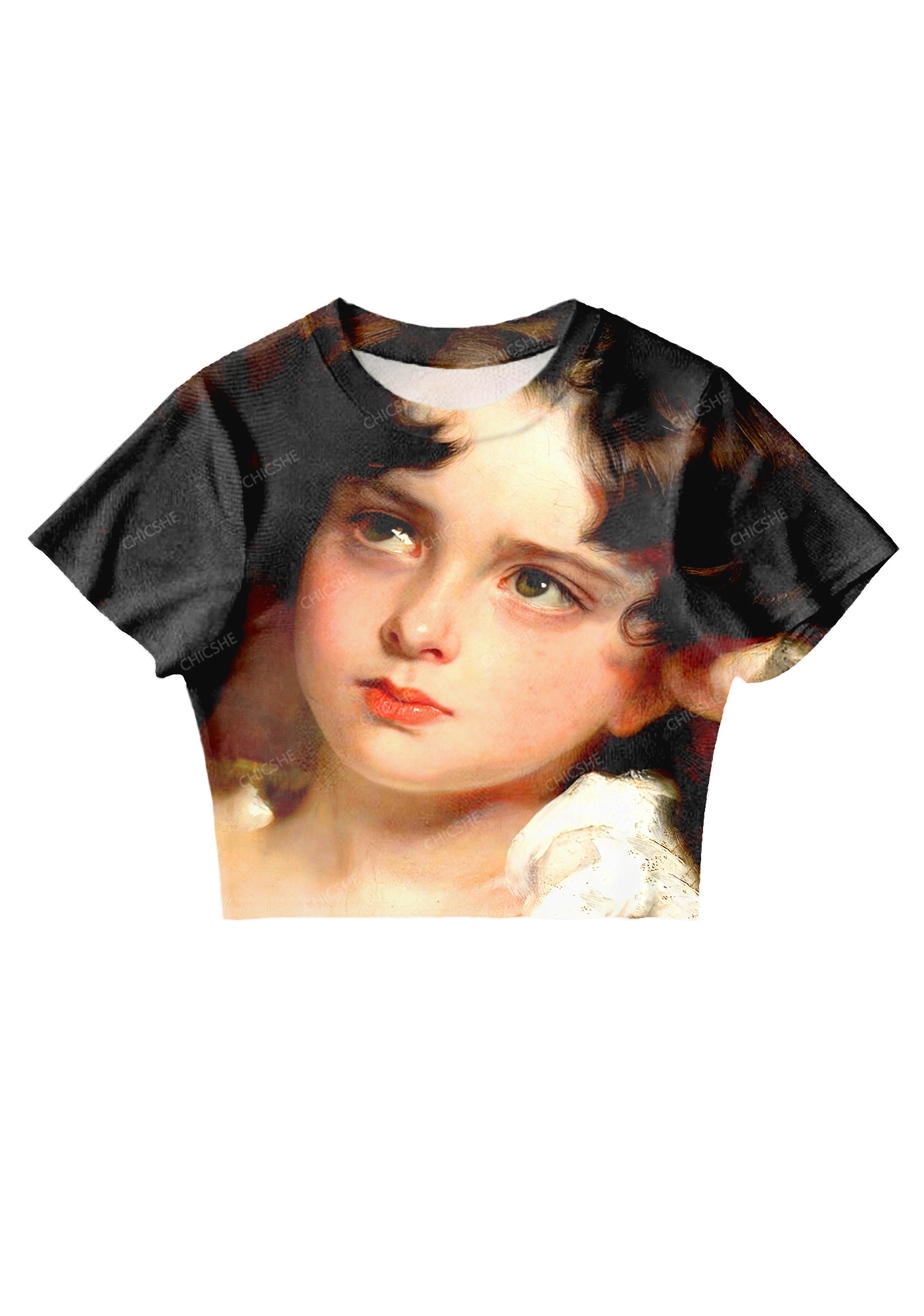 Chicshe Handsome Face Print Y2K Mesh Crop Top 