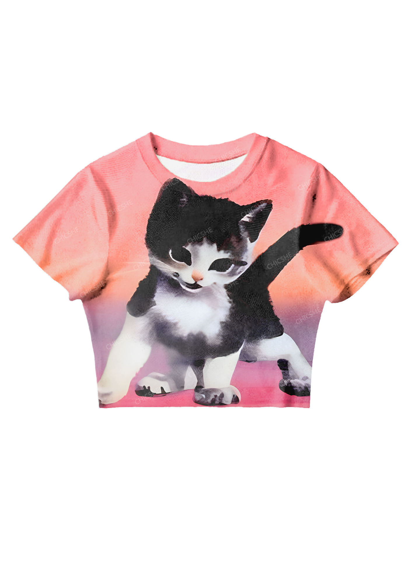 Chicshe Cute Black Cat Y2K Mesh Crop Top 