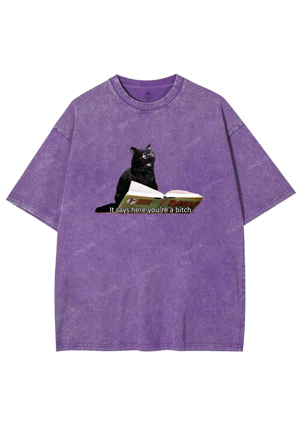 It Says Here You're A Bixxh Y2K Washed Tee Chicshe