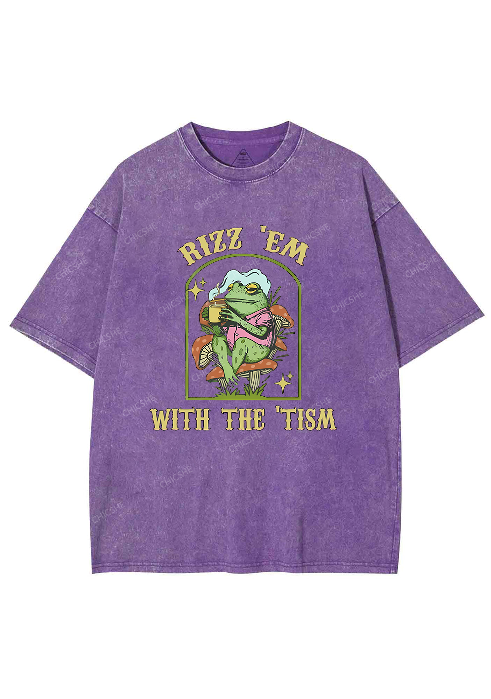 Tism Rizz Frog Y2K Washed Tee Chicshe