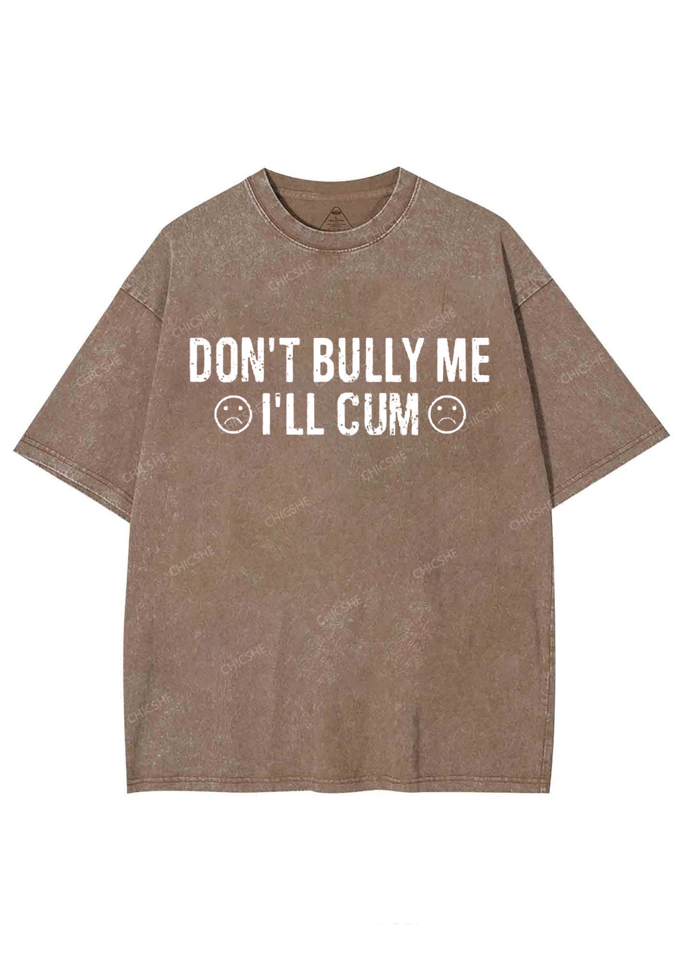 Don't Bully Me Y2K Washed Tee Chicshe