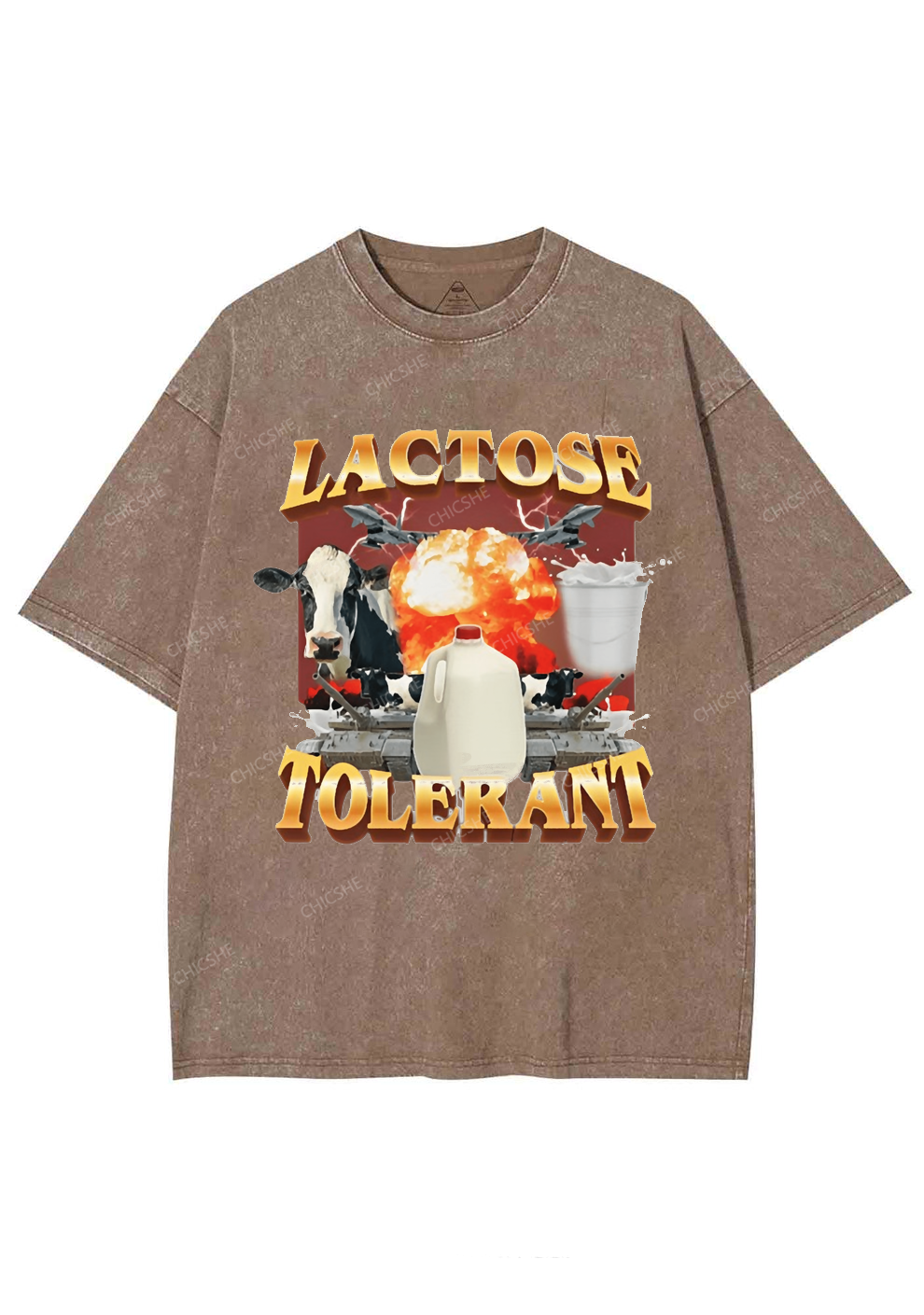 Retro Milk Lactose Tolerant Y2K Washed Tee Chicshe