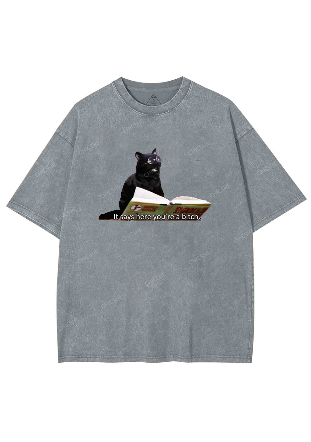 It Says Here You're A Bixxh Y2K Washed Tee Chicshe