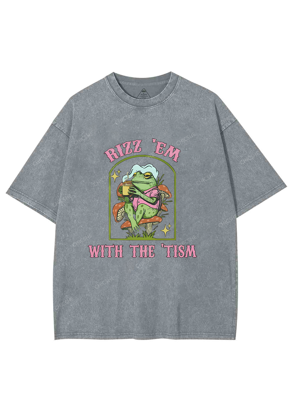 Tism Rizz Frog Y2K Washed Tee Chicshe