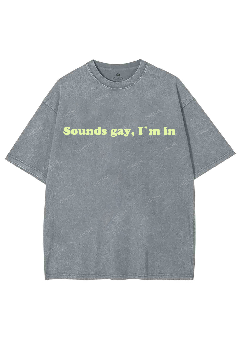Sounds Gay Y2K Washed Tee Chicshe