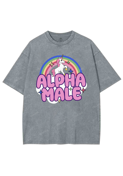 Rainbow Unicorn Alpha Male Y2K Washed Tee Chicshe