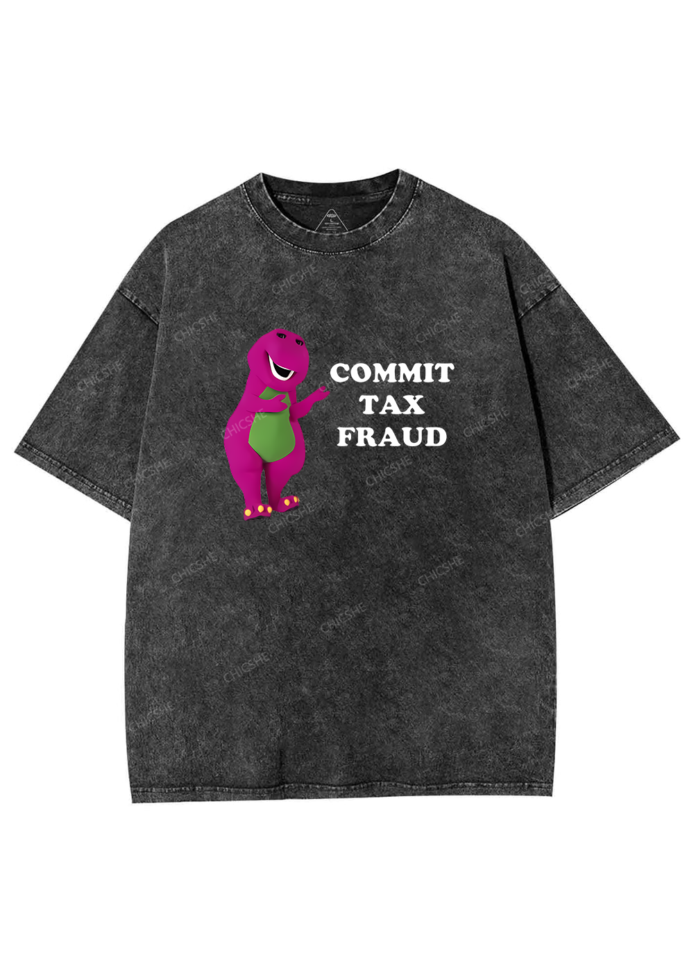 Commit Tax Fraud Y2K Washed Tee Chicshe