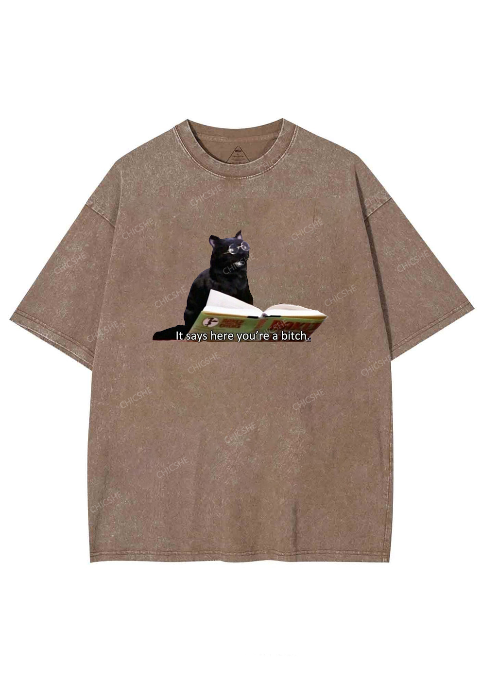 It Says Here You're A Bixxh Y2K Washed Tee Chicshe