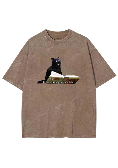 It Says Here You're A Bixxh Y2K Washed Tee Chicshe