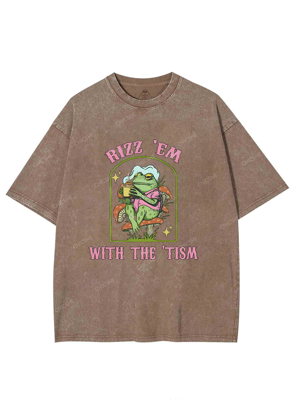 Tism Rizz Frog Y2K Washed Tee Chicshe