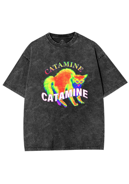 Thermal Cat Y2K Washed Tee Chicshe